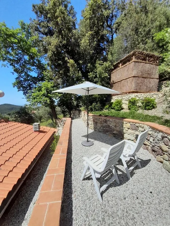 Holiday Home Home Relax By Interhome Castellina Marittima
