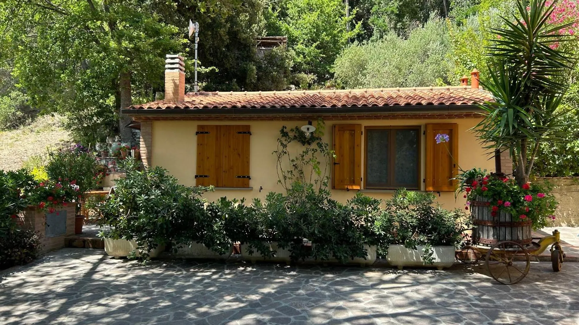 Holiday Home Home Relax By Interhome Castellina Marittima