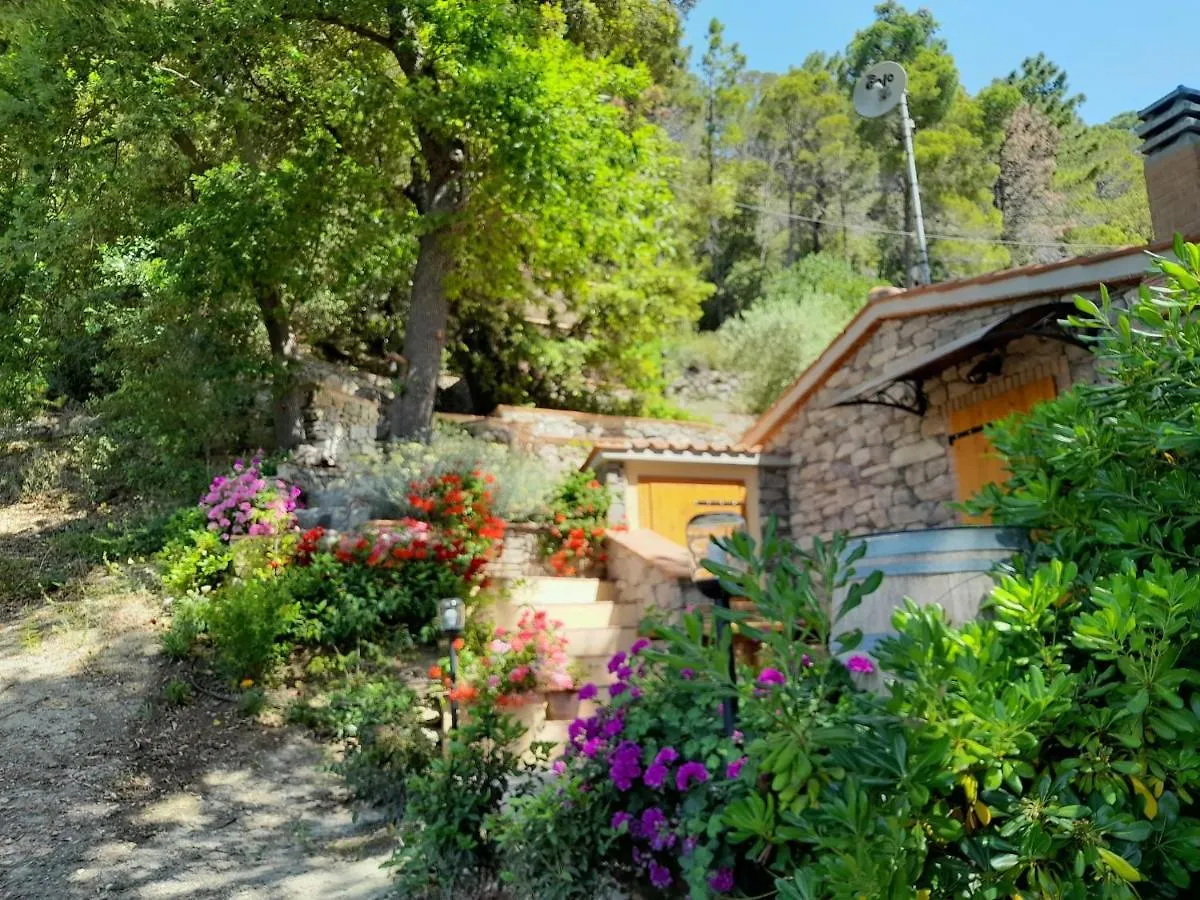 Holiday Home Home Relax By Interhome Castellina Marittima